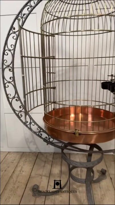 Film of Substantial Brass Bird Cage