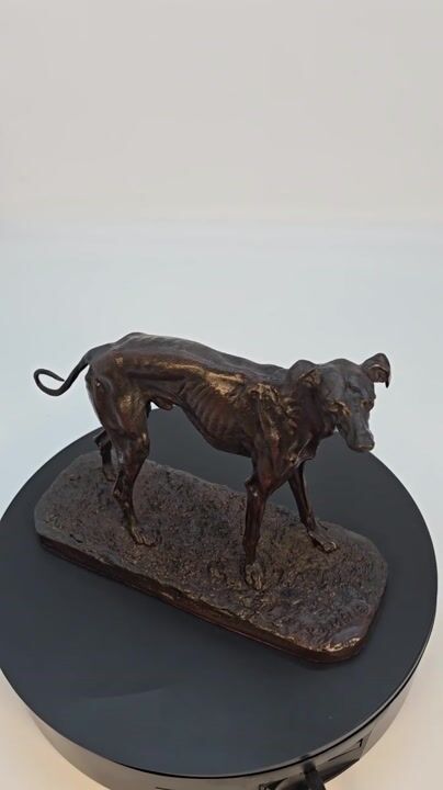 Film of A Fine 19th Century Bronze Study of a Greyhound by P. J. Mène