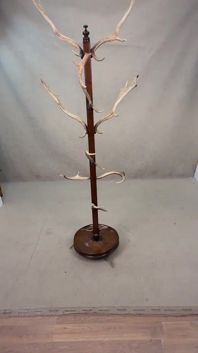 Film of 19th Century Walnut & Antler Hat & Coat Hall Stand