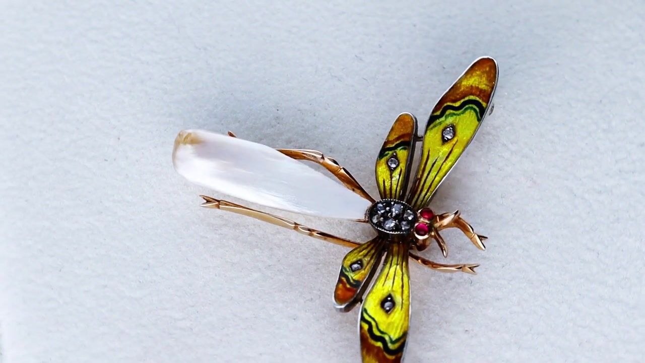 Film of Antique Enamel Garnet 0.10ct Diamond Pearl and 12ct Yellow Gold Dragonfly Brooch Circa 1895