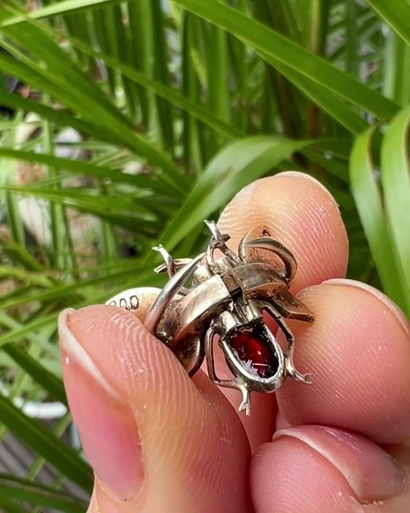 Film of Victorian Silver Gilt Garnet Insect Clip Brooch