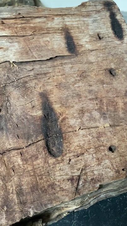 Film of Rare Salvaged Antique 17th Century Solid Oak Inglenook Beam with Vast Collection of Apotropaic Taper Burns